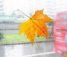 秋雨头条,聚焦时事热点，解码社会现象