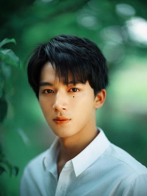 明星志向5 攻略,解锁演艺事业成功之路