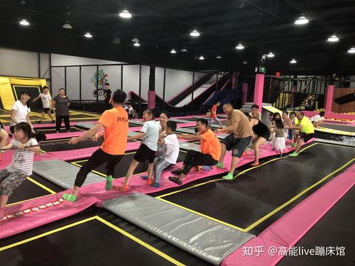 巢湖网红蹦床厂家地址,探索创新与娱乐融合的蹦床乐园