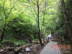 商南金丝峡头条新闻,探寻秦岭秘境，金丝峡景区最新动态揭晓