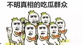 自嘲吃瓜群众