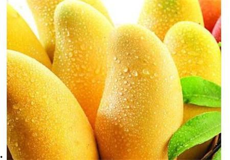 经期可以吃芒果哈密瓜,芒果与哈密瓜的适宜选择”