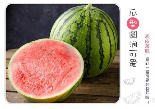 沾瓜怎么吃,解锁夏日清新美味