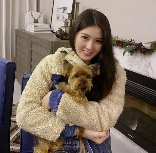 台湾脸长女明星,揭秘那些令人惊艳的长脸美女明星