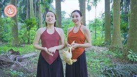 越南网红喷水无码,网络舆论的狂欢与反思