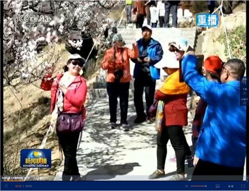 东莞新闻头条网红村庄,揭秘这座古村落的魅力与蜕变之路”