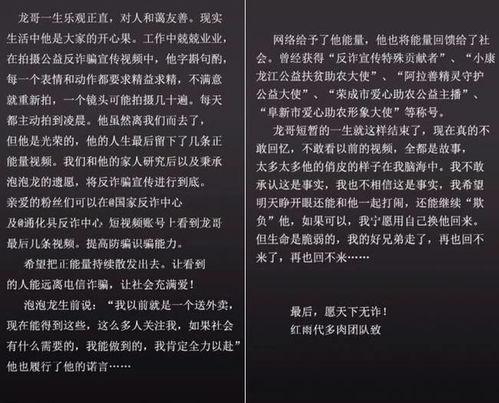 网红泡泡龙作文素材,网络红人的魅力与影响力