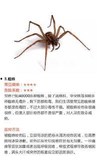 最怕昆虫的明星是,揭秘最怕昆虫的明星们