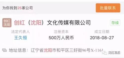 网红产品注册资金,揭秘注册资金背后的商业奥秘