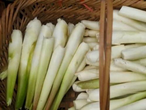 产妇吃蒿瓜怎么炒