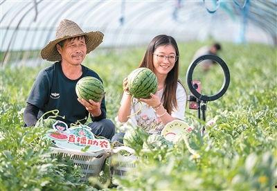 吃瓜职业,揭秘网络时代下的新型职业现象